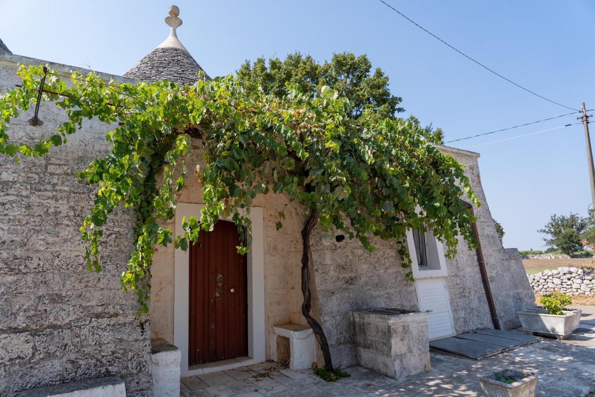Trullo Vacanze Di Cumma Rosa อัลเบโรเบลโล ภายนอก รูปภาพ
